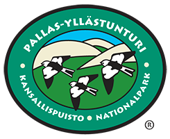 Pallas-Yllästunturin kansallispuisto